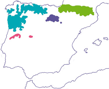 Carte de répartition mondiale du Desman des Pyrénées (Source : d’après Gisbert & García-Perea modifiée avec les données d’A. Bertrand, 2008)